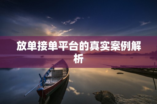 放单接单平台的真实案例解析