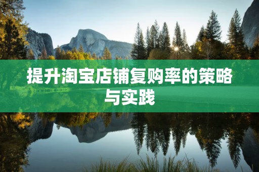提升淘宝店铺复购率的策略与实践