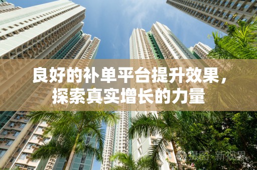 良好的补单平台提升效果，探索真实增长的力量