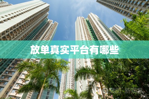放单真实平台有哪些