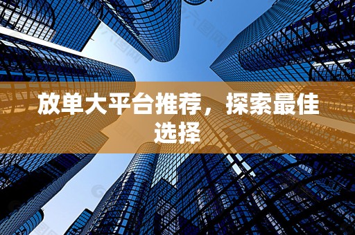 放单大平台推荐，探索最佳选择