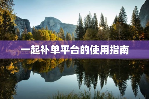 一起补单平台的使用指南