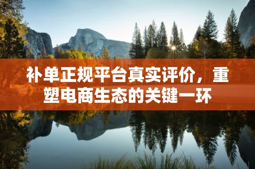 补单正规平台真实评价，重塑电商生态的关键一环