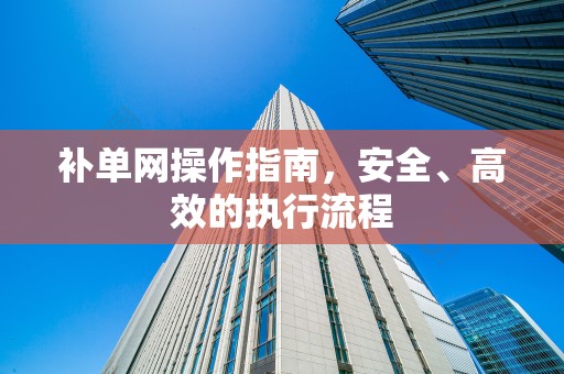 补单网操作指南，安全、高效的执行流程