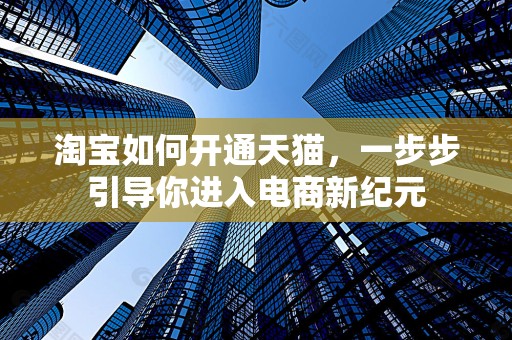淘宝如何开通天猫，一步步引导你进入电商新纪元