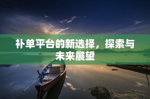 补单平台的新选择，探索与未来展望