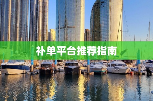 补单平台推荐指南