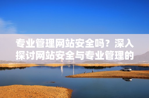 专业管理网站安全吗？深入探讨网站安全与专业管理的重要性