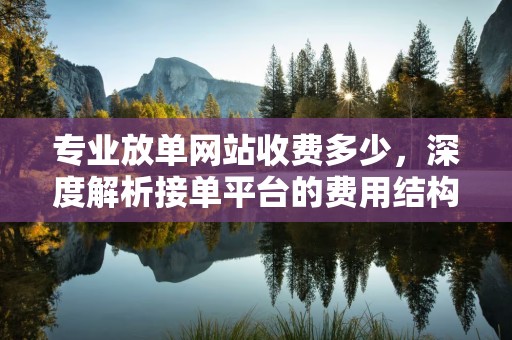 专业放单网站收费多少，深度解析接单平台的费用结构