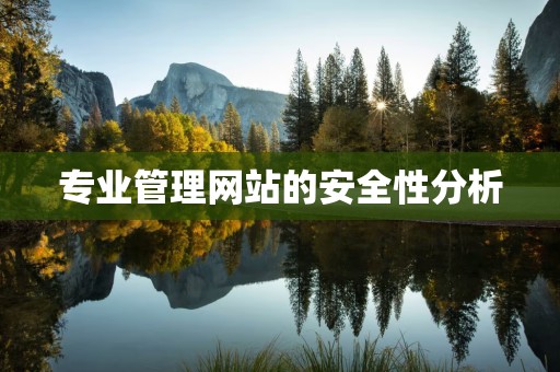 专业管理网站的安全性分析