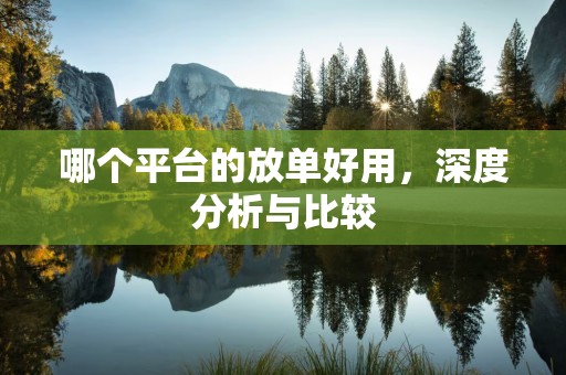 哪个平台的放单好用，深度分析与比较