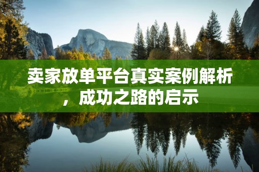 卖家放单平台真实案例解析，成功之路的启示