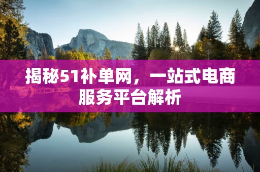 揭秘51补单网，一站式电商服务平台解析