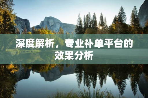 深度解析，专业补单平台的效果分析