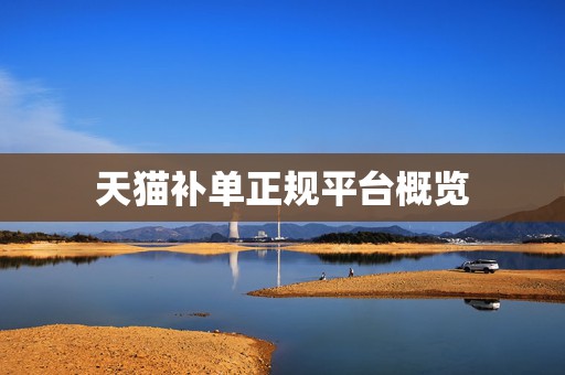 天猫补单正规平台概览