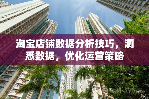淘宝店铺数据分析技巧，洞悉数据，优化运营策略
