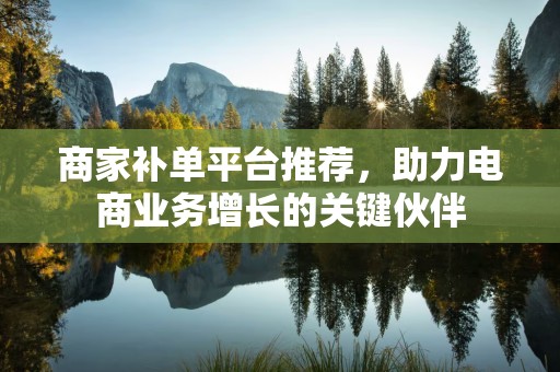 商家补单平台推荐，助力电商业务增长的关键伙伴