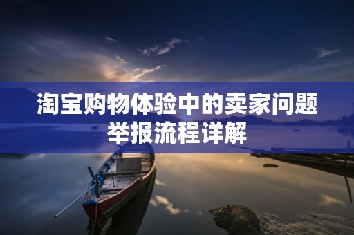 淘宝购物体验中的卖家问题举报流程详解
