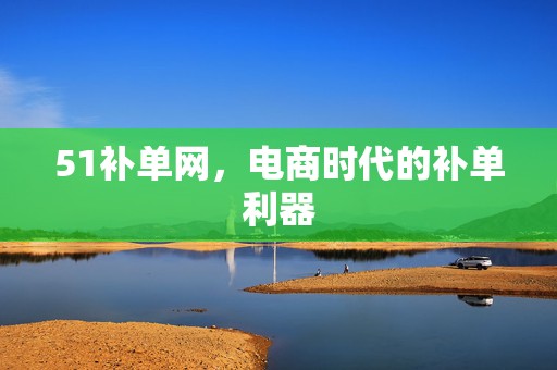 51补单网，电商时代的补单利器