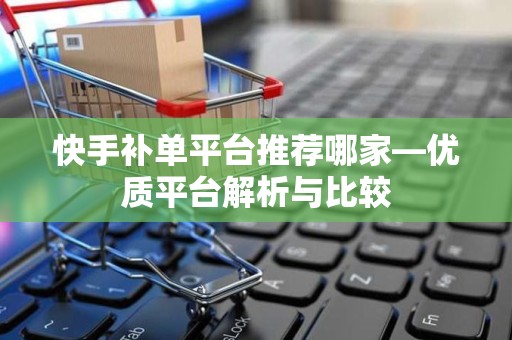 快手补单平台推荐哪家—优质平台解析与比较