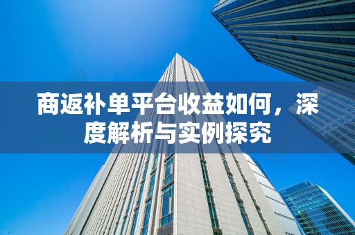 商返补单平台收益如何，深度解析与实例探究