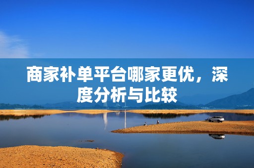 商家补单平台哪家更优，深度分析与比较