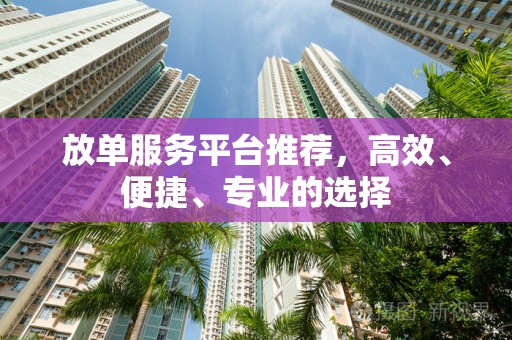放单服务平台推荐，高效、便捷、专业的选择