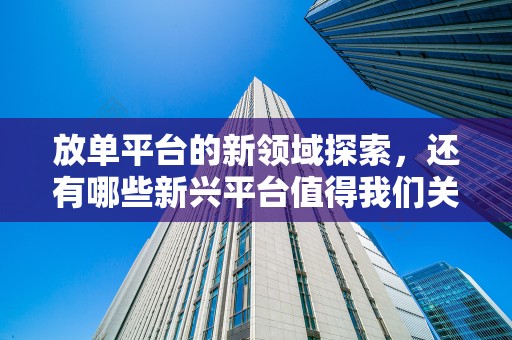 放单平台的新领域探索，还有哪些新兴平台值得我们关注
