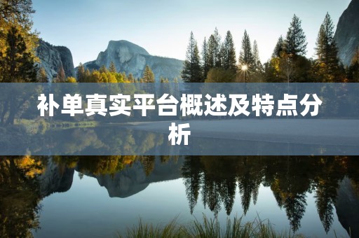 补单真实平台概述及特点分析
