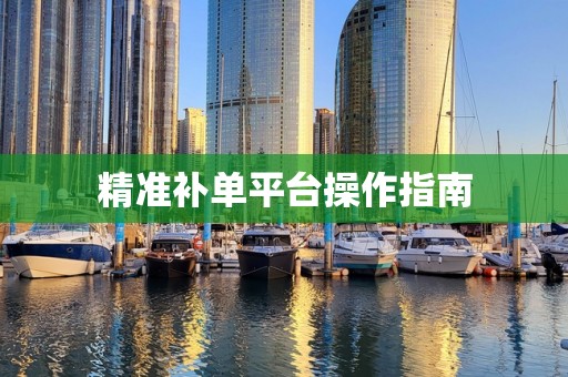 精准补单平台操作指南