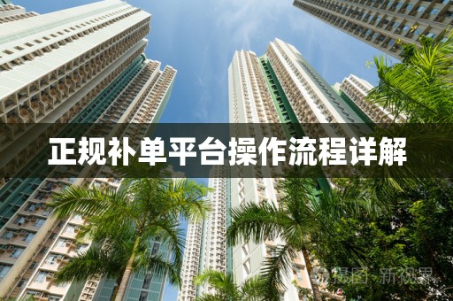 正规补单平台操作流程详解