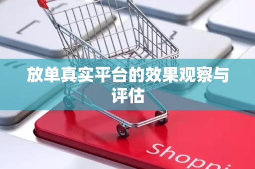 放单真实平台的效果观察与评估