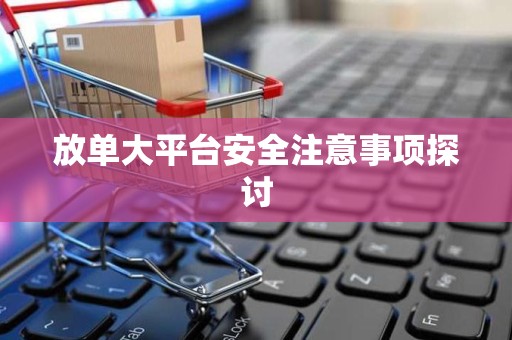 放单大平台安全注意事项探讨