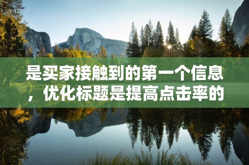 是买家接触到的第一个信息，优化标题是提高点击率的关键。标题应包含核心关键词，同时要有吸引力，激发买家的兴趣。此外，要注意标题的简洁明了，避免过于冗长