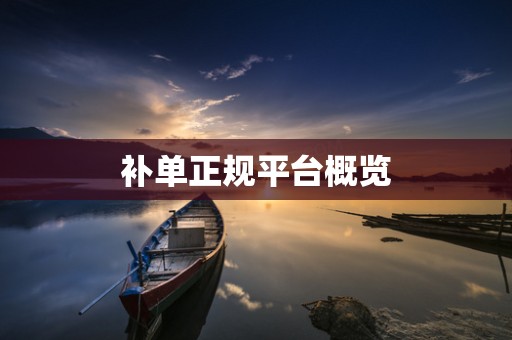 补单正规平台概览