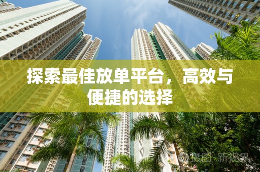 探索最佳放单平台，高效与便捷的选择