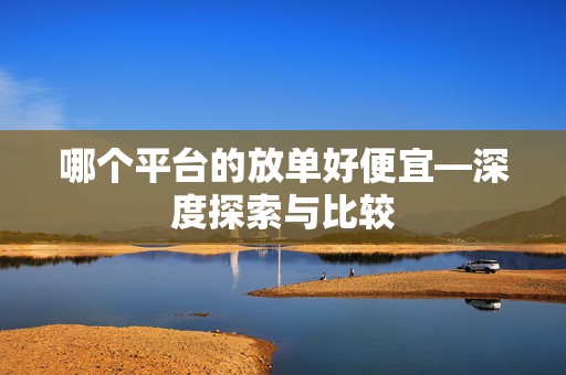 哪个平台的放单好便宜—深度探索与比较