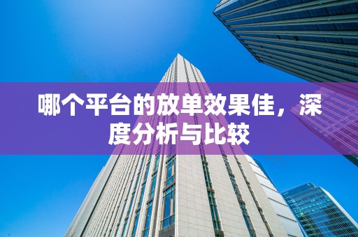 哪个平台的放单效果佳，深度分析与比较