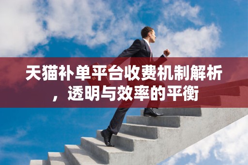 天猫补单平台收费机制解析，透明与效率的平衡