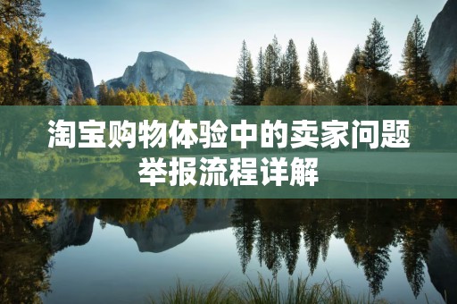 淘宝购物体验中的卖家问题举报流程详解