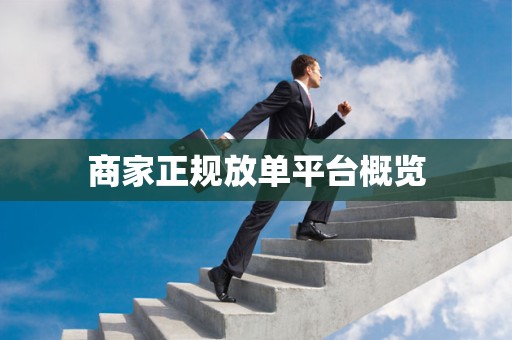商家正规放单平台概览