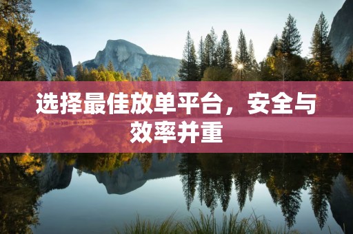 选择最佳放单平台，安全与效率并重