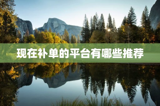 现在补单的平台有哪些推荐
