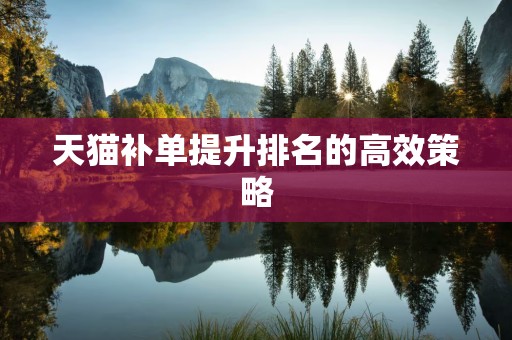 天猫补单提升排名的高效策略