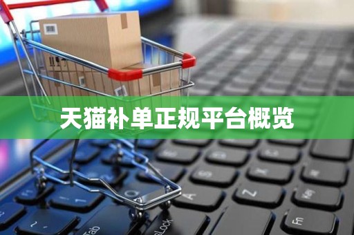 天猫补单正规平台概览