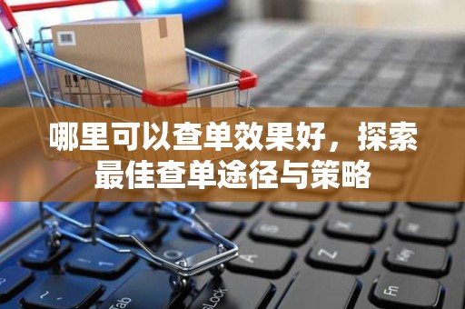 哪里可以查单效果好，探索最佳查单途径与策略