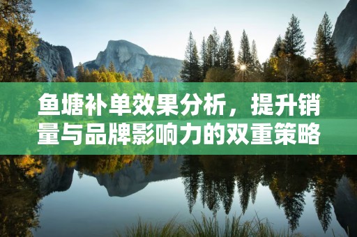 鱼塘补单效果分析，提升销量与品牌影响力的双重策略