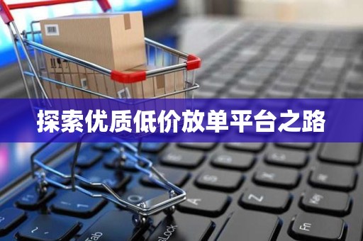 探索优质低价放单平台之路