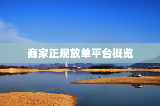 商家正规放单平台概览