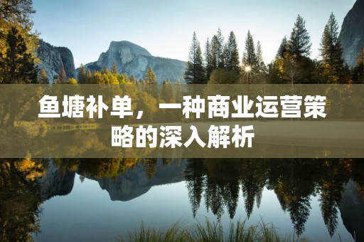 鱼塘补单，一种商业运营策略的深入解析